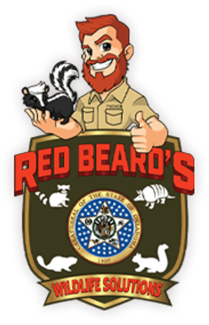 Red Beards Wildlife Solutions